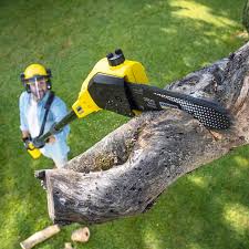 Grand Forks, ND Tree Removal and Landscaping Services Company